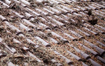 Newyears Green roof cleaning companies